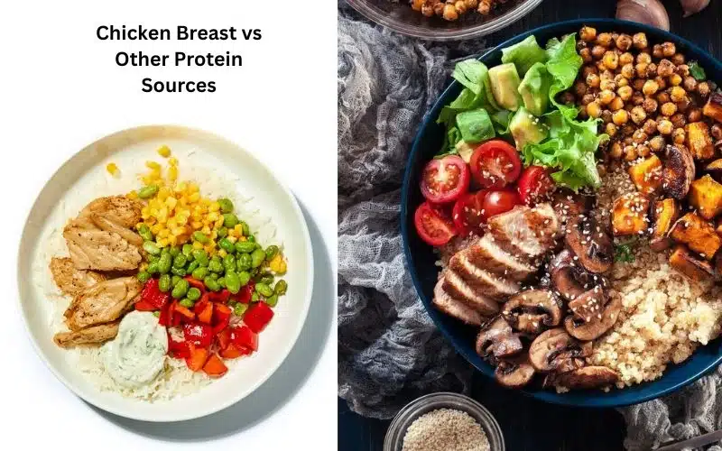 Chicken Breast vs Other Protein Sources