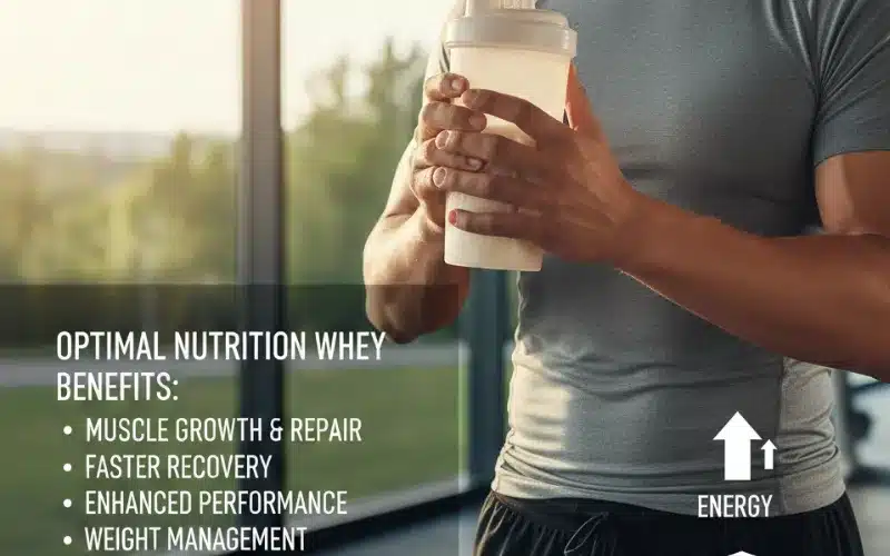 ON Standard Whey Protein