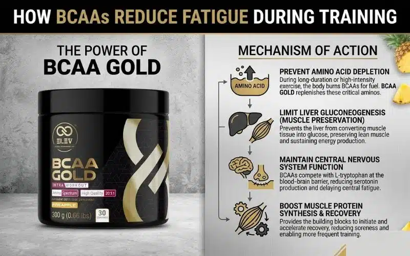 how-bcaas-reduce-fatigue-during-training.webp
