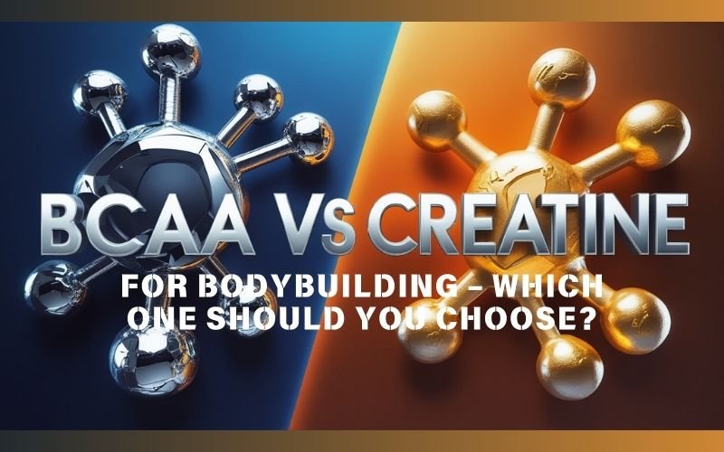 BCAA vs Creatine: Which is Better for Bodybuilding?