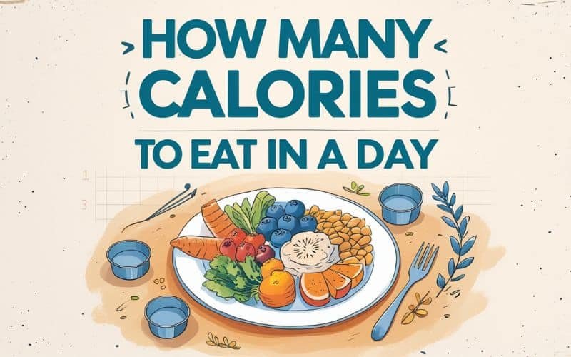 How Many Calories to Eat Daily? Find Your Ideal Intake
