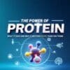 What Is Protein and Why It Matters for Your Health and Fitness