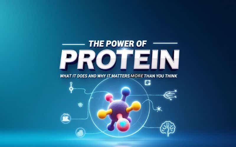 What Is Protein and Why It Matters for Your Health and Fitness