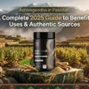 Ashwagandha-in-Pakistan-A-Complete-2025-Guide-to-Benefits-Uses-Authentic-Sources.webp