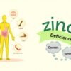 Zinc Deficiencies Causes Symptoms