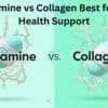 Glutamine or Collagen