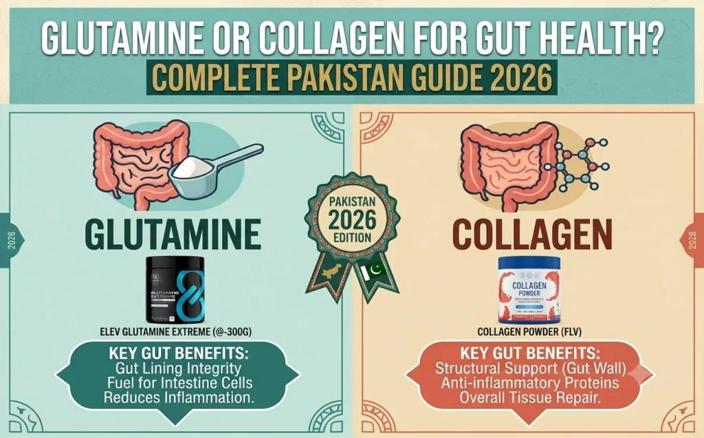 Glutamine or Collagen for Gut Health