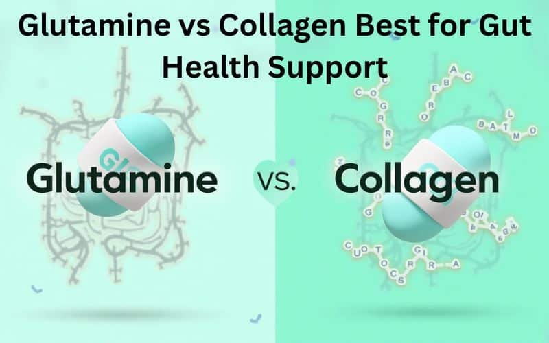 Glutamine or Collagen