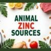 Animal Zinc Sources
