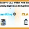 L-Carnitine vs. CLA