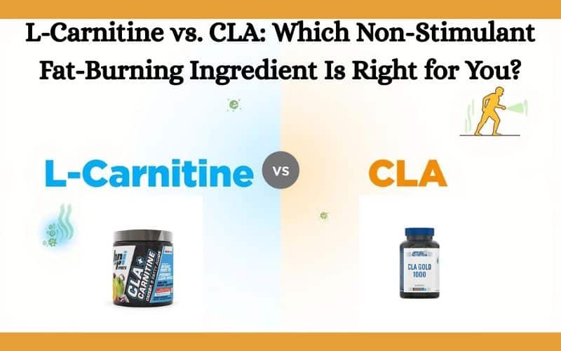 L-Carnitine vs. CLA