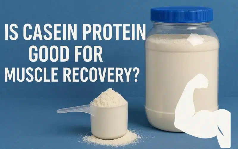 casein protein good for muscle recovery