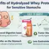 benefits-of-hydrolyzed-whey-for-sensitive-stomachs.webp