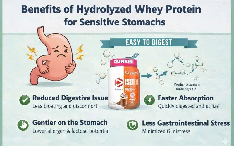 benefits-of-hydrolyzed-whey-for-sensitive-stomachs.webp