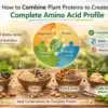 combine-plant-proteins-for-a-complete-amino-acid-profile