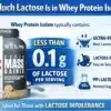how-much-lactose-is-in-whey-protein-isolate.webp