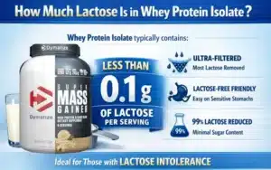 how-much-lactose-is-in-whey-protein-isolate.webp