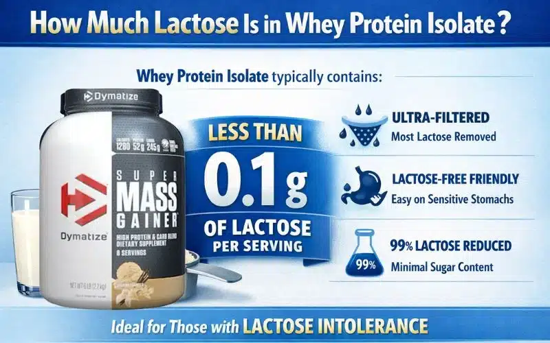how-much-lactose-is-in-whey-protein-isolate.webp
