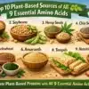 top-10-plant-based-sources-of-all-9-essential-amino-acids