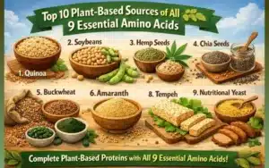top-10-plant-based-sources-of-all-9-essential-amino-acids