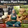 whey-vs-plant-protein-best-choice-for-pakistani-women.