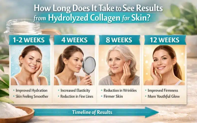 hydrolyzed-collagen-results-time-for-skin-benefits.webp