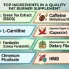 what-ingredients-should-you-look-for-in-a-good-fat-burner-supplement.webp