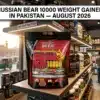 Russian Bear 10000 Weight Gainer