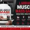 Labrada Muscle Mass Gainer Price in Pakistan 2026