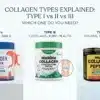 Collagen-Price-in-Pakistan-Type-I-vs-II-vs-III-Guide