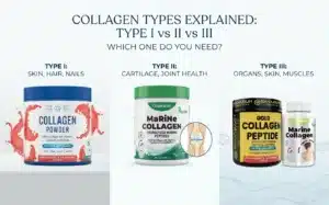 Collagen-Price-in-Pakistan-Type-I-vs-II-vs-III-Guide