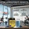 Creatine-Monohydrate-Benefits