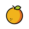 Daily Nutrition